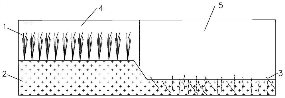 Construction method of surface flow wetland system