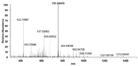 A liquid chromatography-tandem mass spectrometry method for the detection of Apis mellifera mrjp1 and its application in identifying the authenticity of Apis mellifera honey