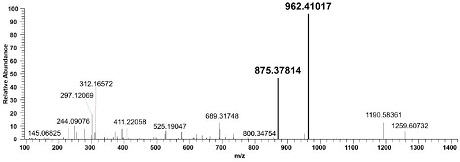 A liquid chromatography-tandem mass spectrometry method for the detection of Apis mellifera mrjp1 and its application in identifying the authenticity of Apis mellifera honey