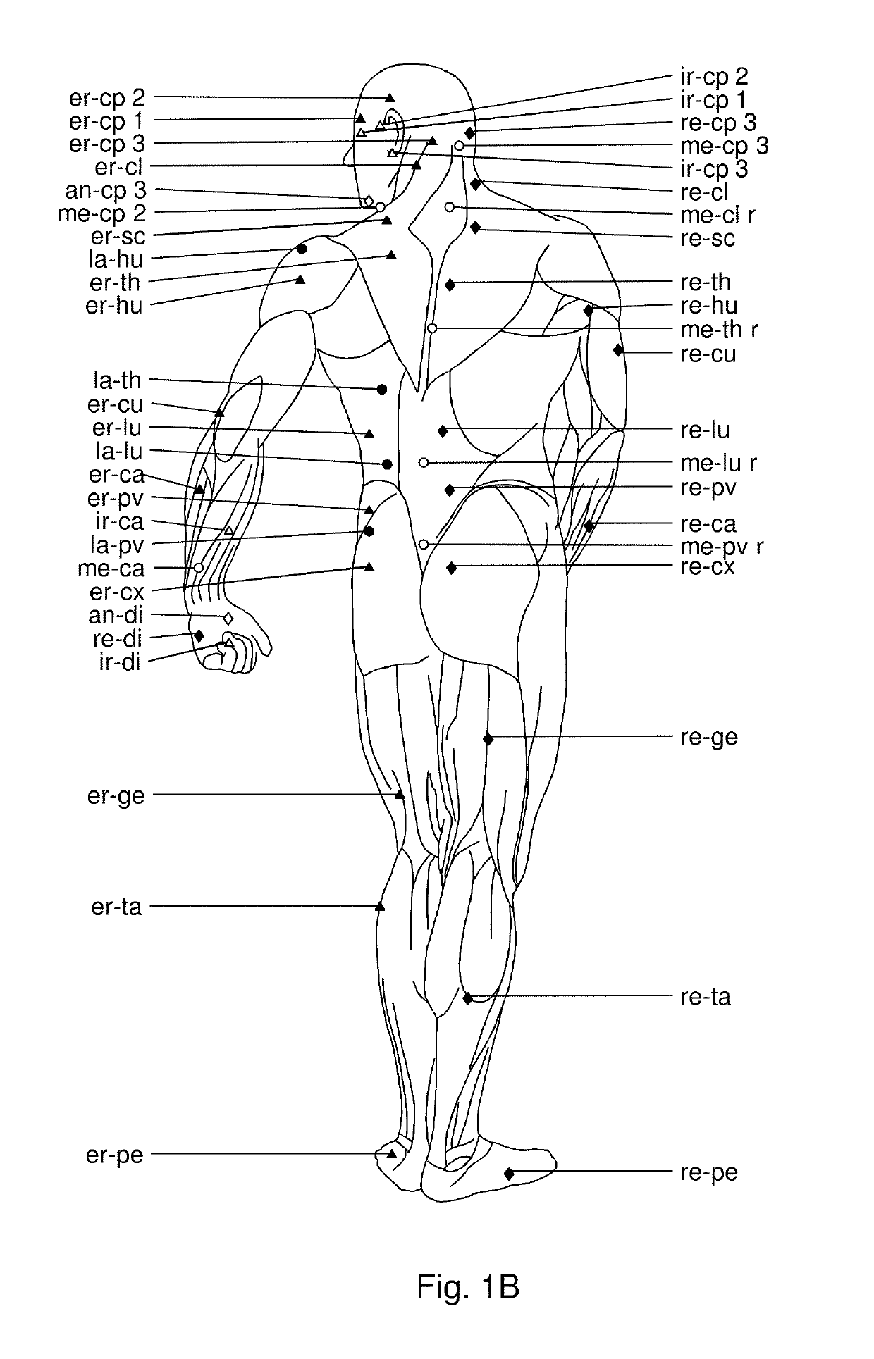 Use of hyaluronidase for treatment of muscle stiffness