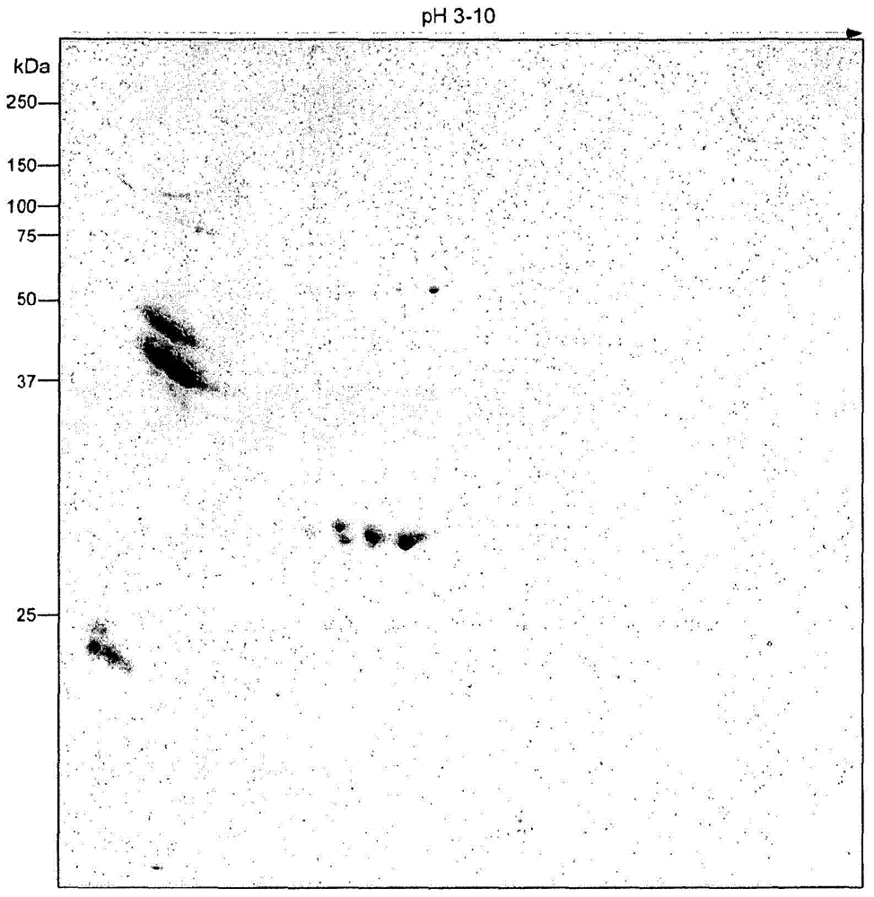 Hatching fluid enzymes and uses thereof