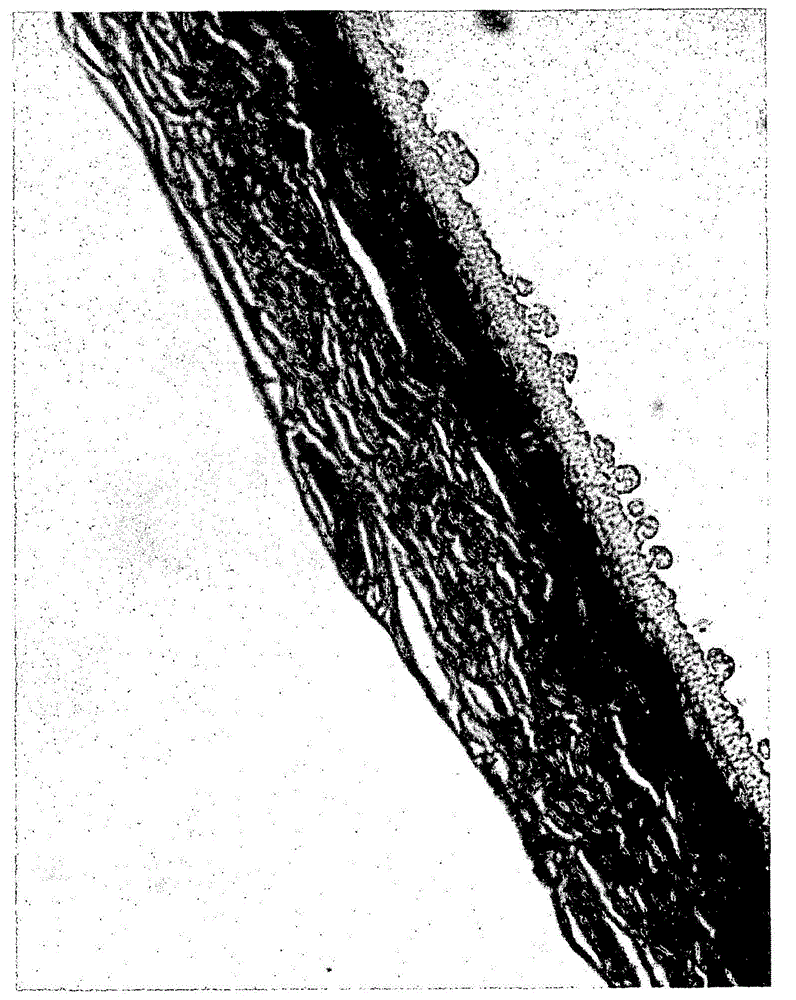 Hatching fluid enzymes and uses thereof