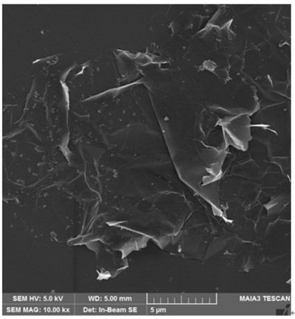 Method for preparing graphene composite conductive paste by microwave-ultrasonic and products obtained therefrom