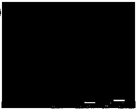 A kind of nano-metal composite and preparation method thereof