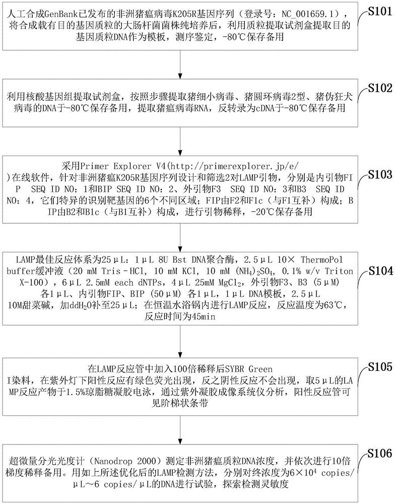 Method for fast detecting loop-mediated isothermal amplification of African swine fever viruses