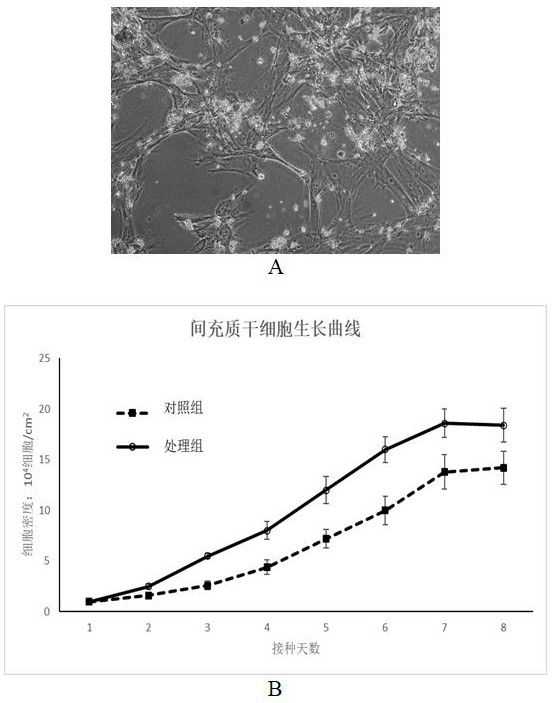 Composition and application thereof in stem cell culture