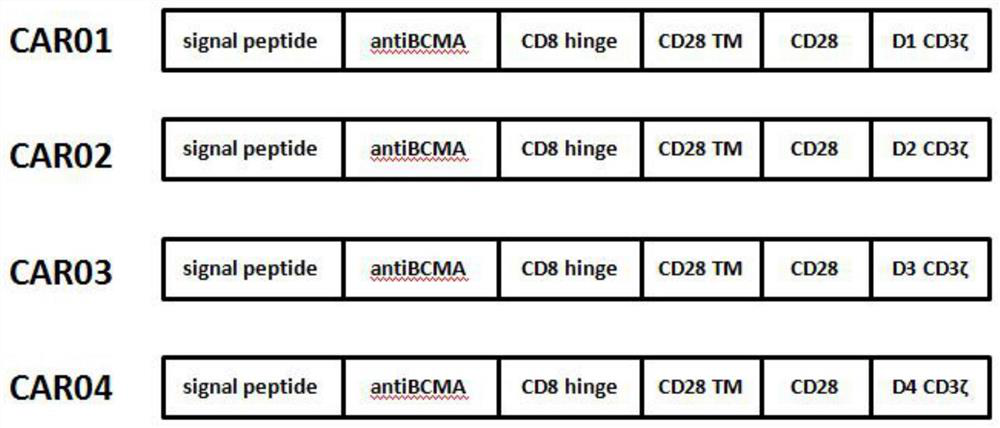 A chimeric antigen receptor (car) targeting bcma and its application