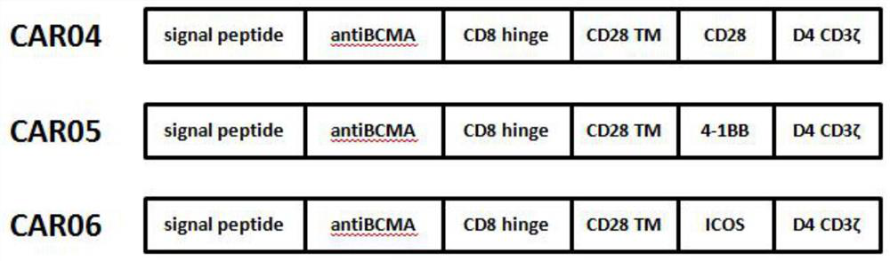 A chimeric antigen receptor (car) targeting bcma and its application