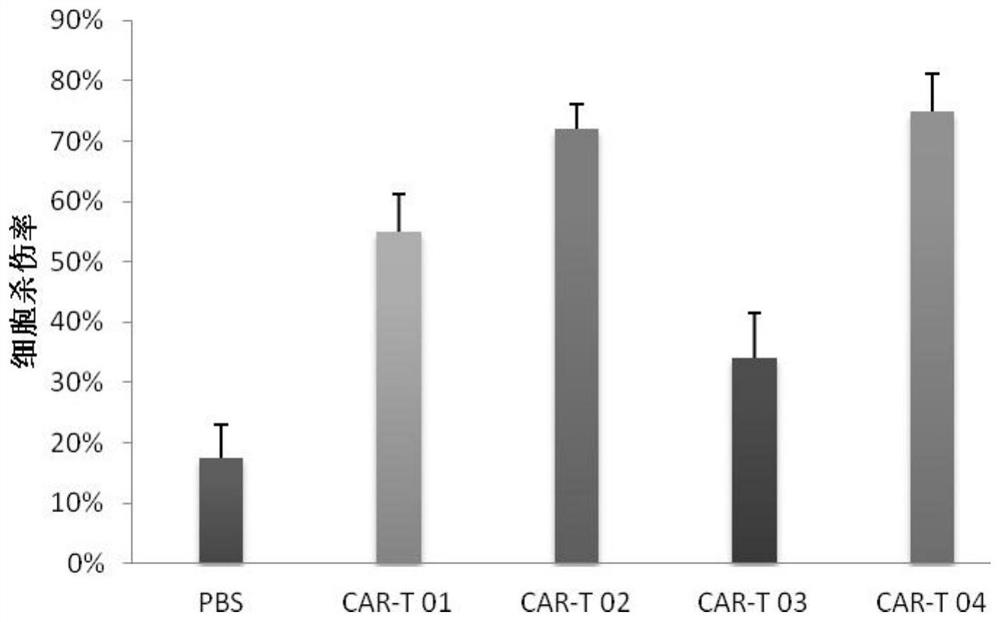 A chimeric antigen receptor (car) targeting bcma and its application