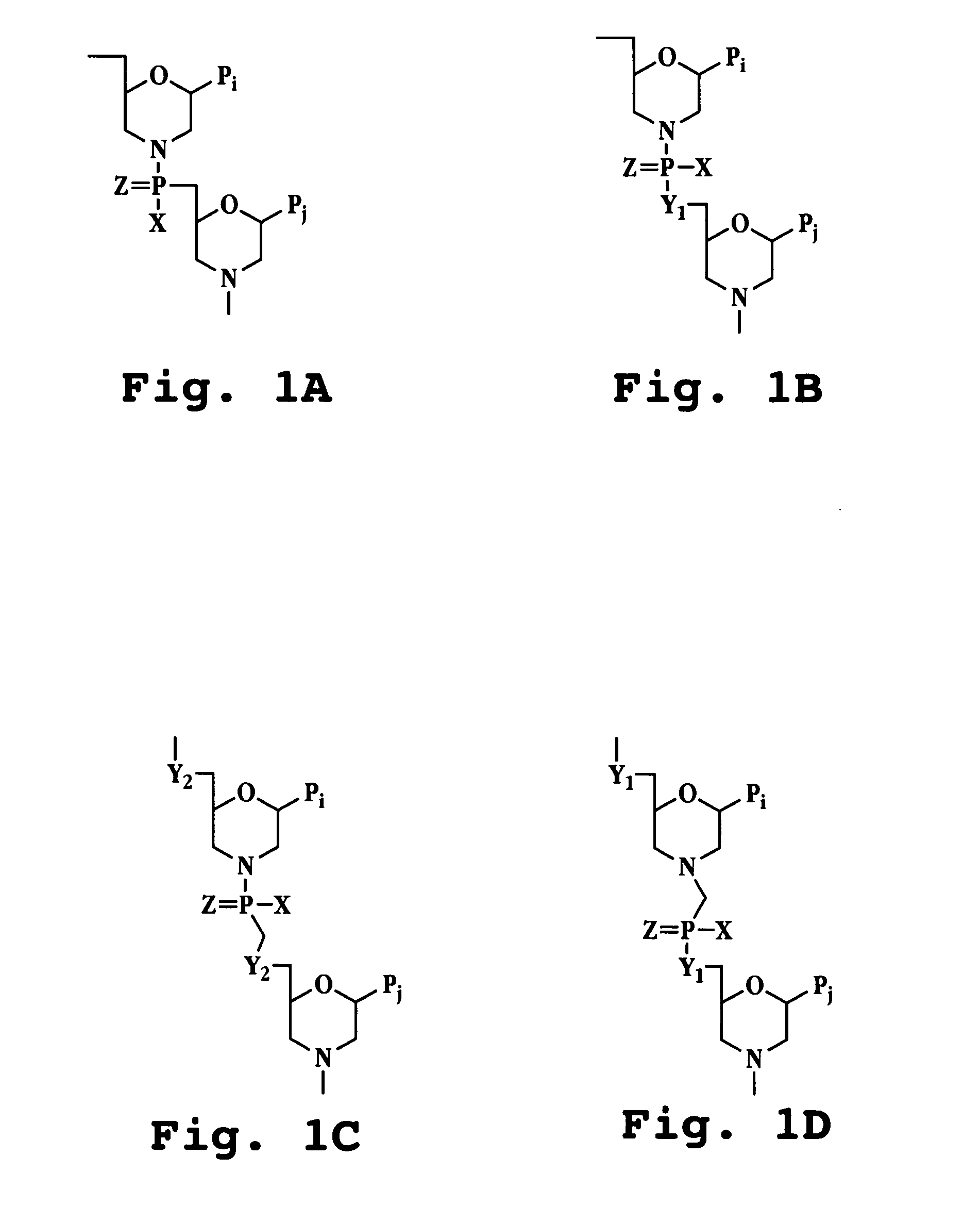 Antisense antibacterial method and compound