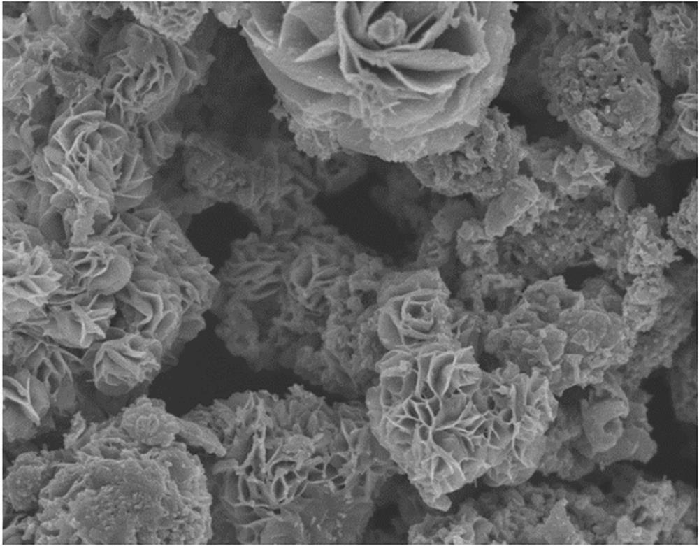 A kind of vanadium-based material and its preparation method and application
