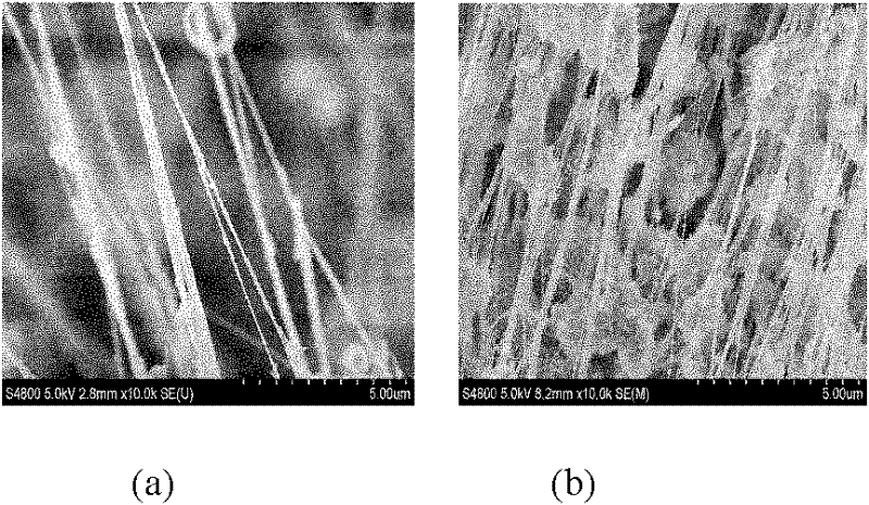 Supported metallocene catalyst and application thereof