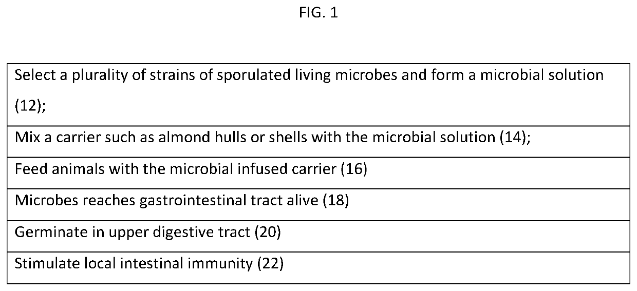 Animal feed stock using microbial enhancement