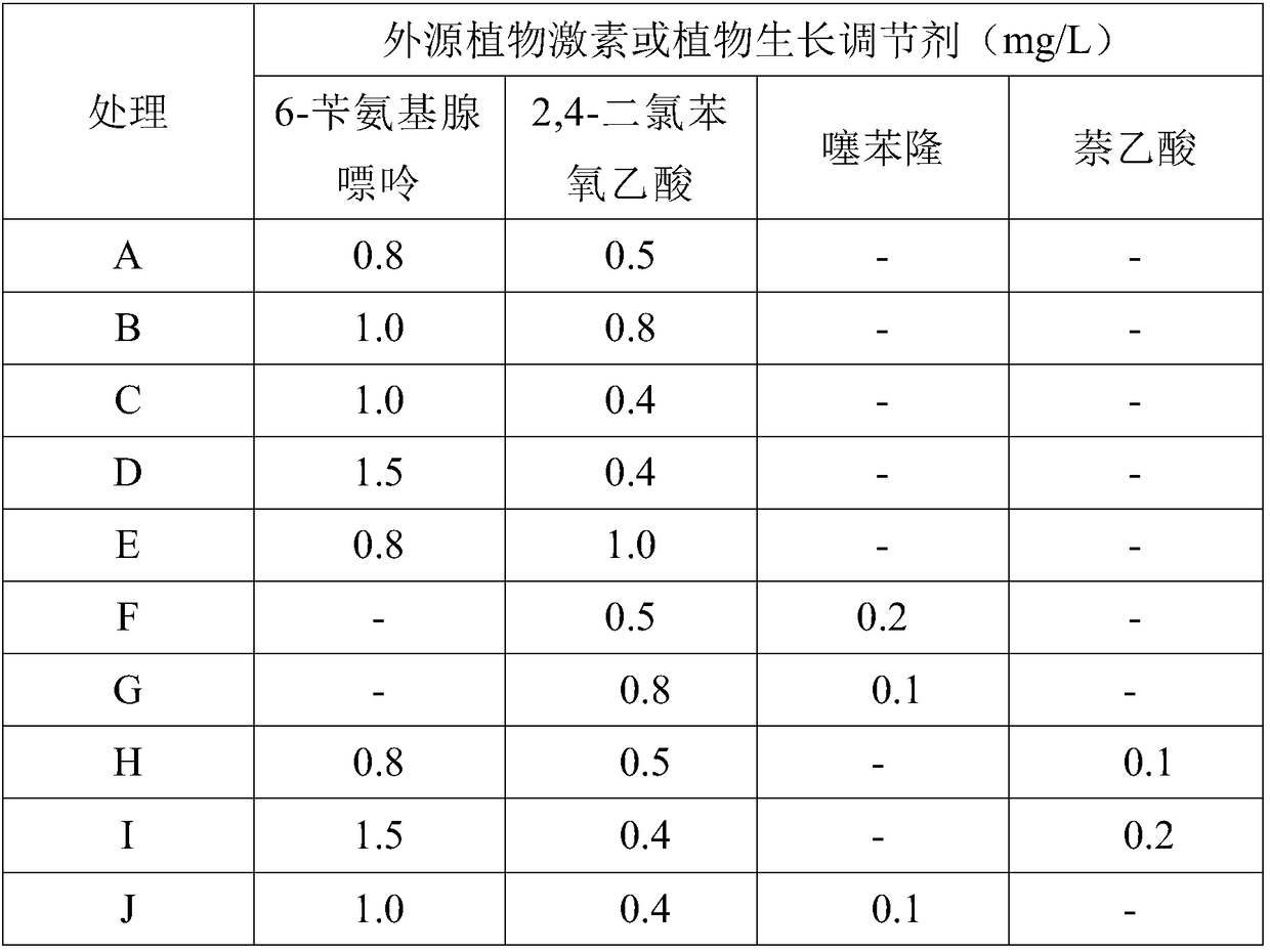 Medium and method for tissue culture and rapid propagation of kiwifruits