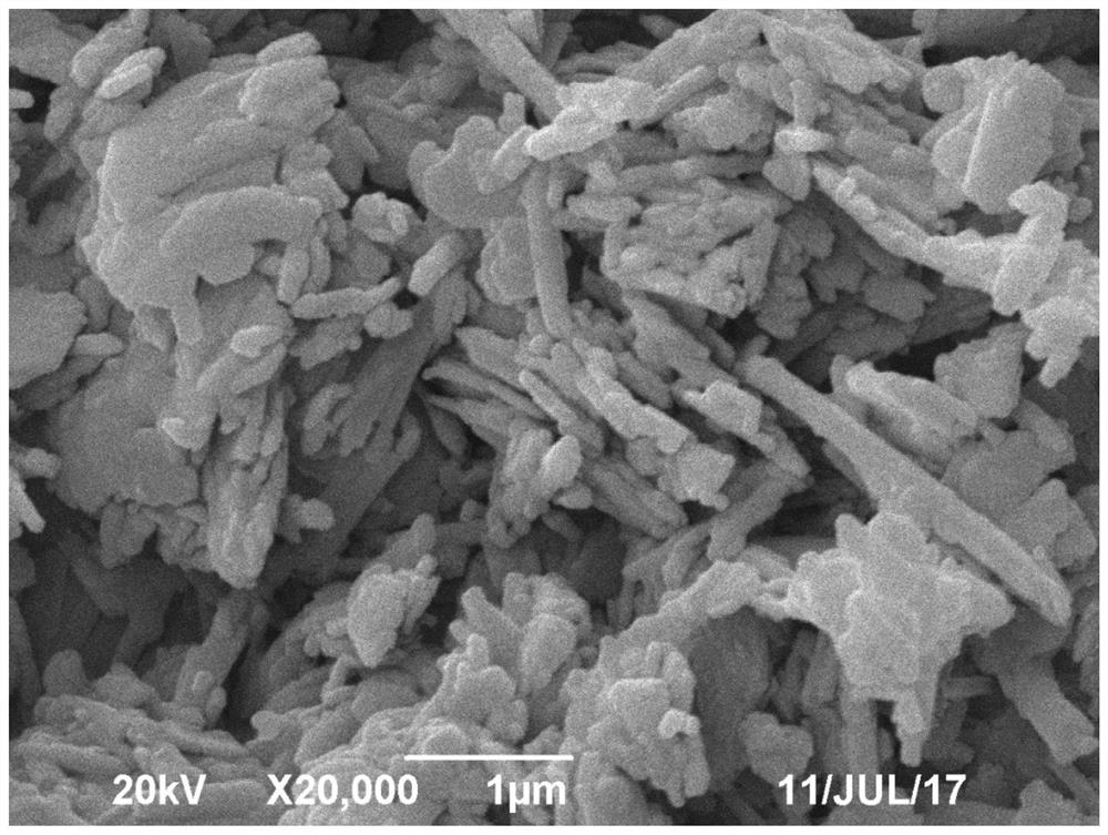 A kind of macroporous kaolinite and its preparation and application