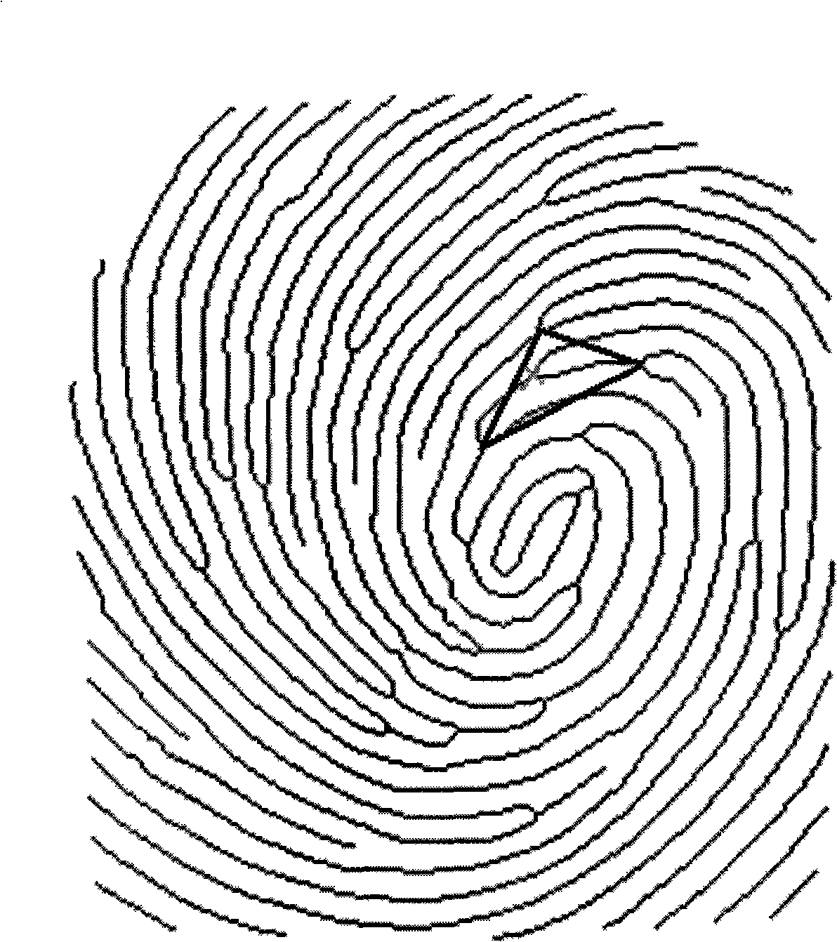 Fingerprint identification method base on four characteristic points topological structure