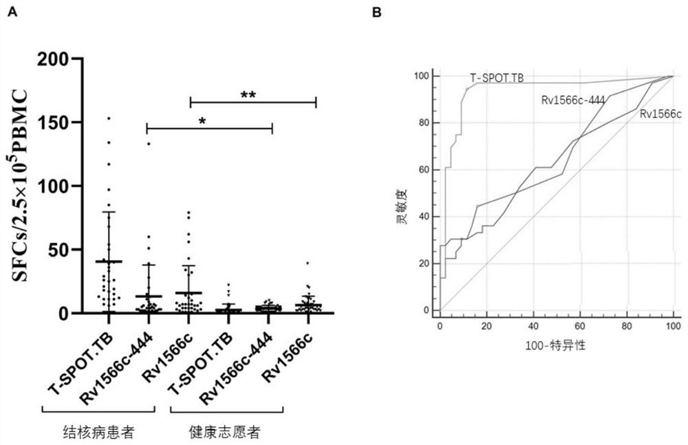 Application of mycobacterium tuberculosis T cell epitope protein Rv1566c-444