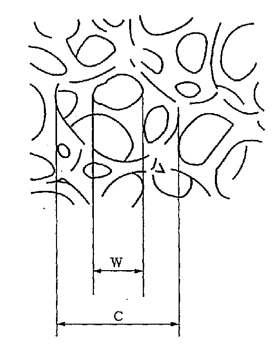 Metal porous body and making method thereof, current collector for cell having same