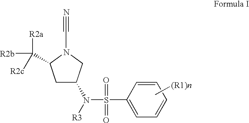 Novel cathepsin c inhibitors and their use