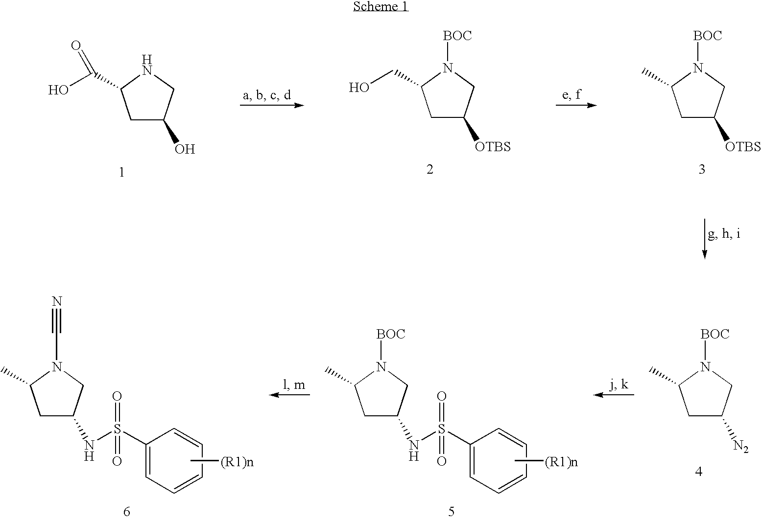 Novel cathepsin c inhibitors and their use