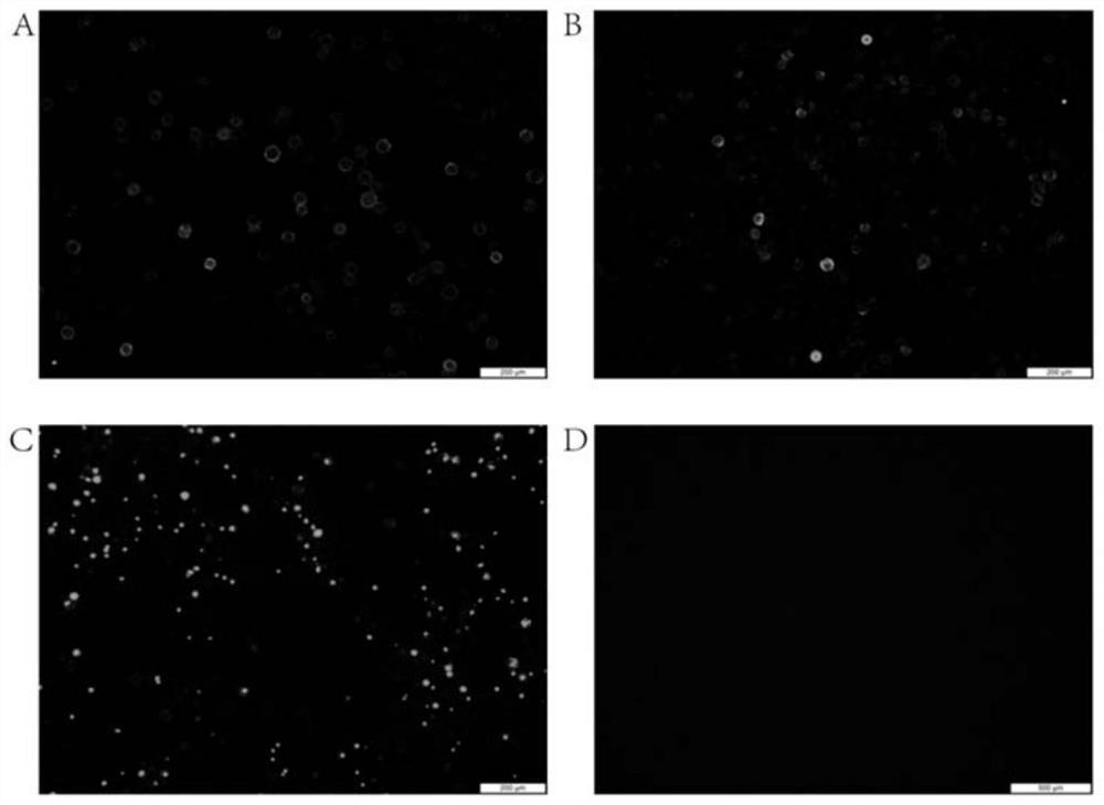 A kind of avian influenza virus-like particle antigen, vaccine and its preparation method and application