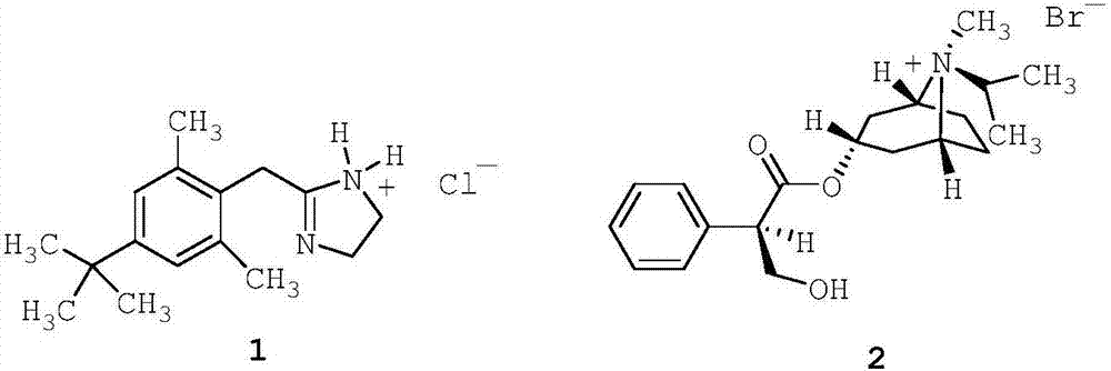 A nasal composition containing sea water as stability-improving excipient