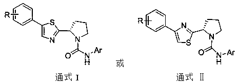 (S)-4/5-phenyl-2-(pyrrolidin-2-yl)thiazole TRPV1 antagonists as well as preparation and application thereof
