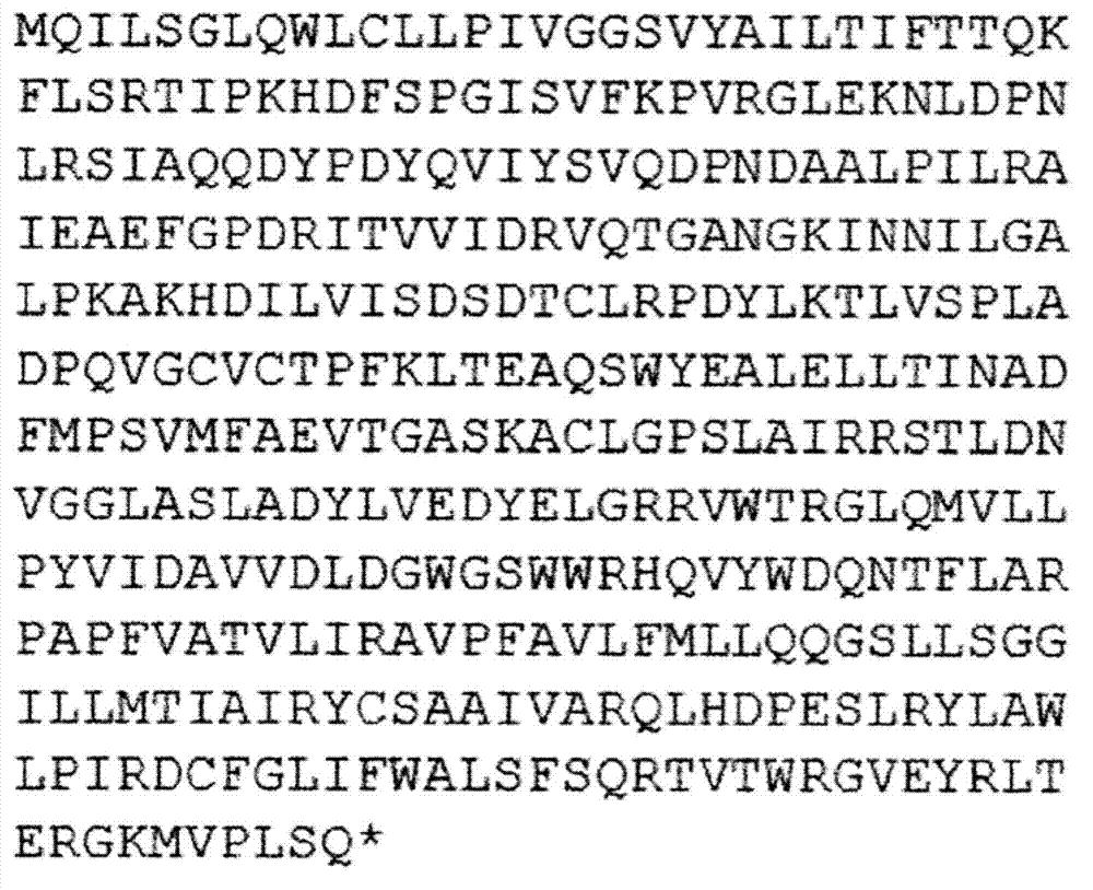 Salt tolerance SyGT gene derived from synechocystis, and uses thereof