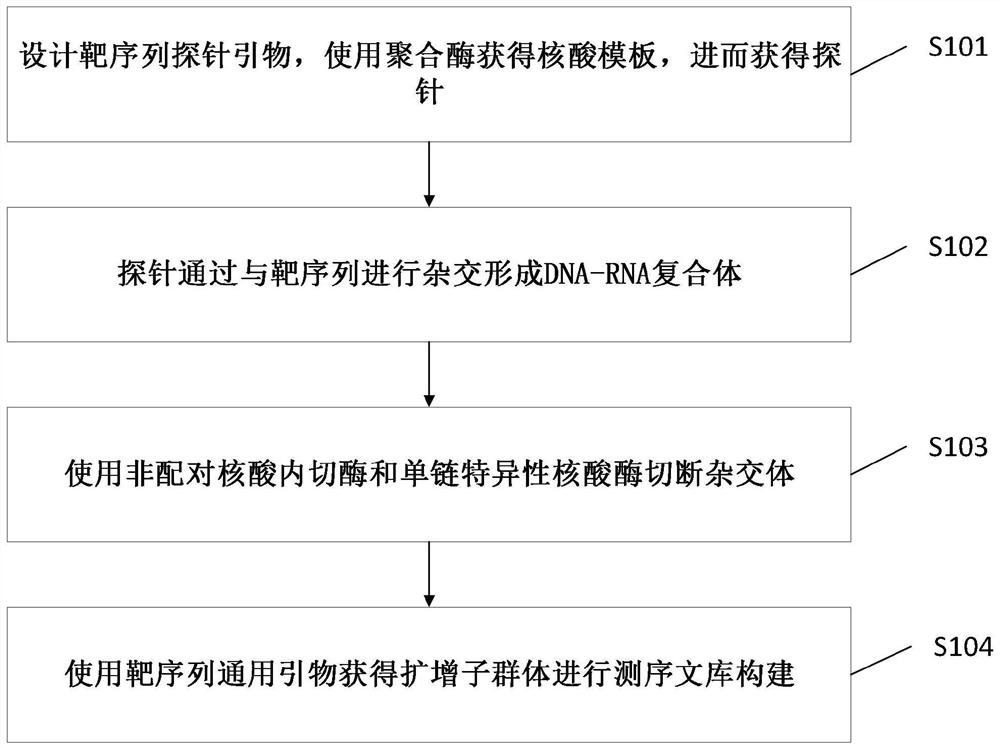 Preparation method and application of nucleic acid library for low host background interference