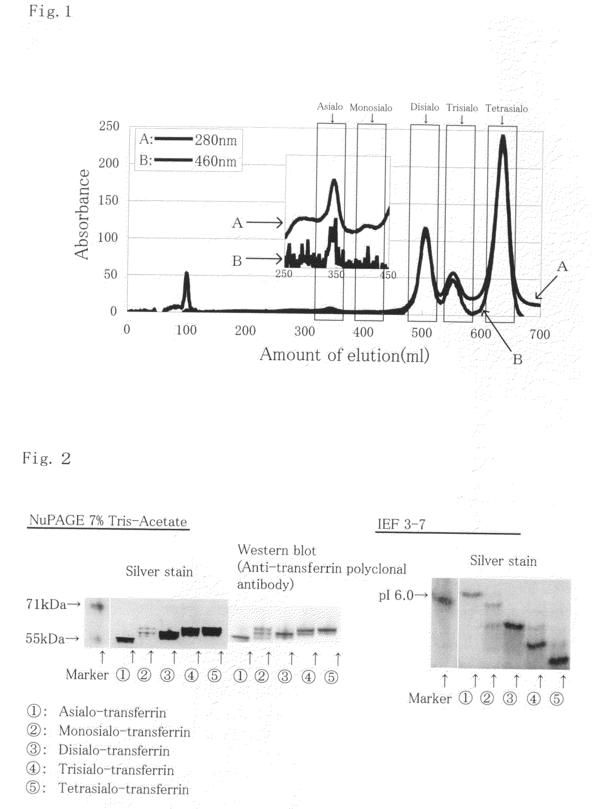 Immune Agglutination Reagent Kit and Method of Measuring Antigen