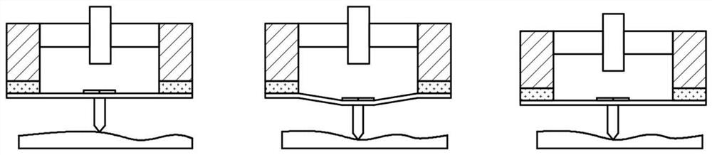 A micro-nano dual-mode detection processing module