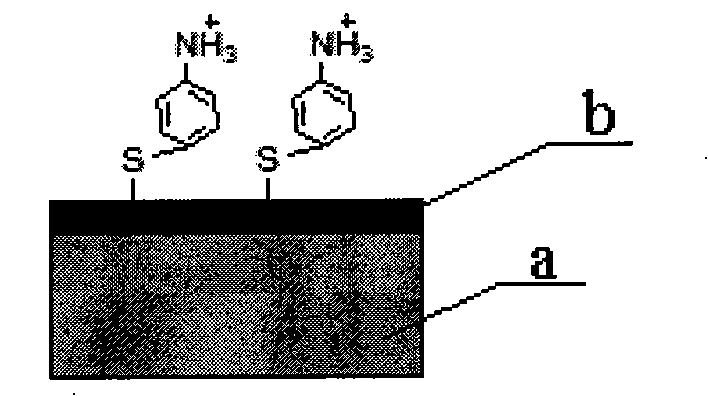 Method for separating genistein monomer from daidzein monomer