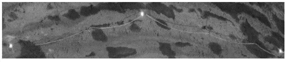 Tunnel surrounding rock deformation detection method adopting digital camera technique