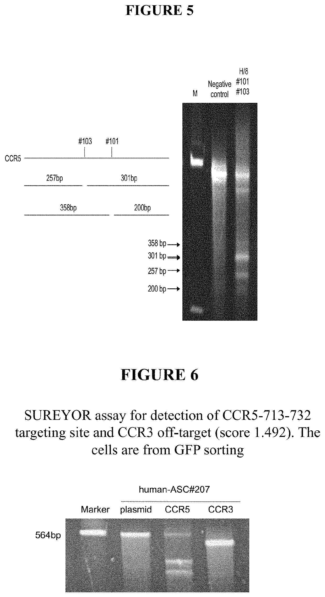 Small tissue CCR5<sup>−</sup>MSCs for treatment of HIV