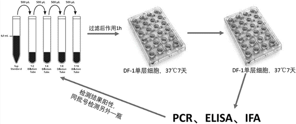 Detection method for A, B, J subgroup avian leucosis viruses in avian infectious laryngotracheitis live vaccine