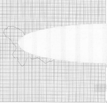 A method and system for quantitative evaluation of ice shape and ice angle in icing wind tunnel test