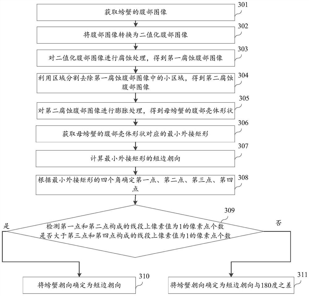 Crab Orientation Recognition Method Based on Image Segmentation