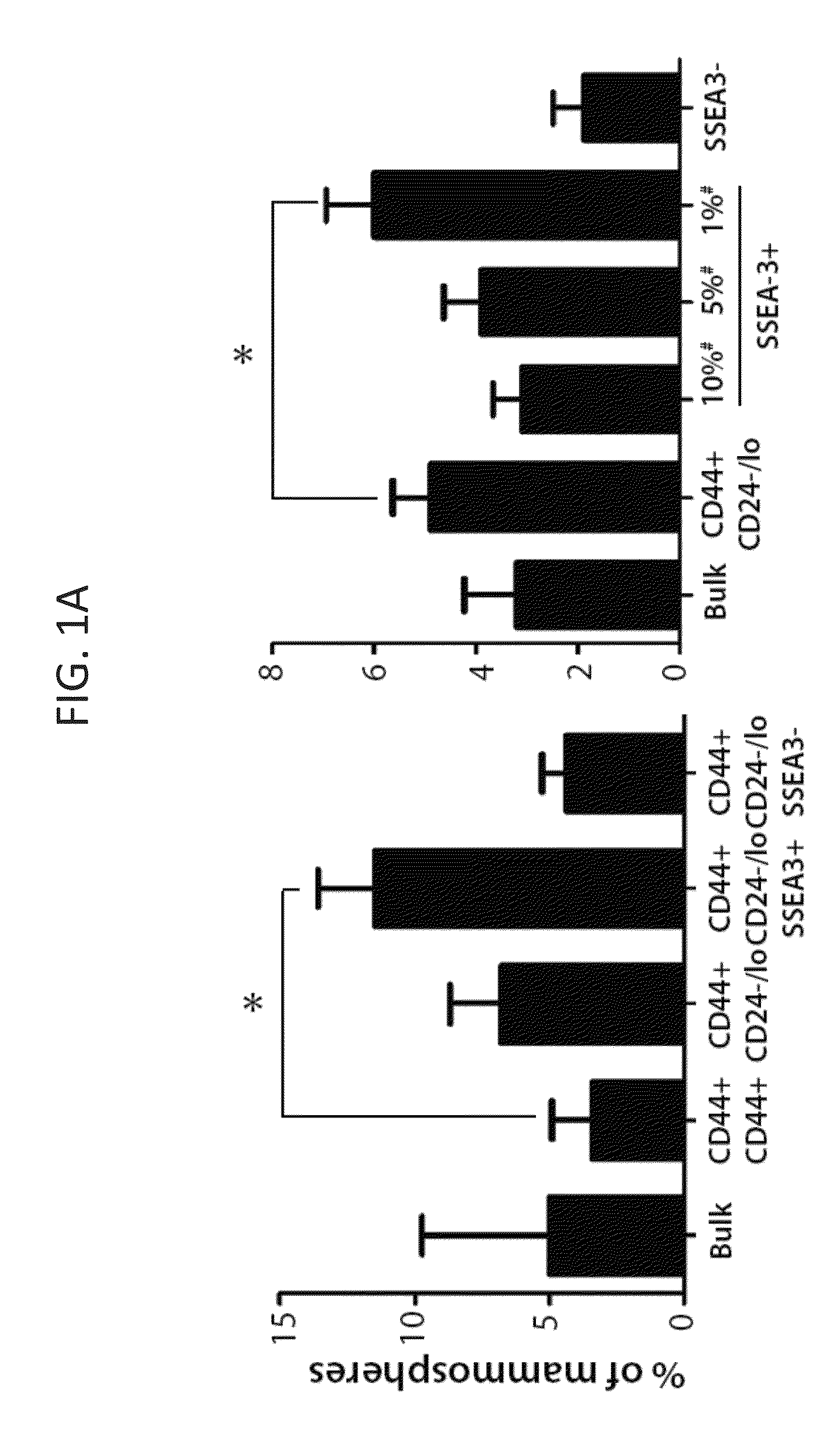 Cancer markers and methods of use thereof