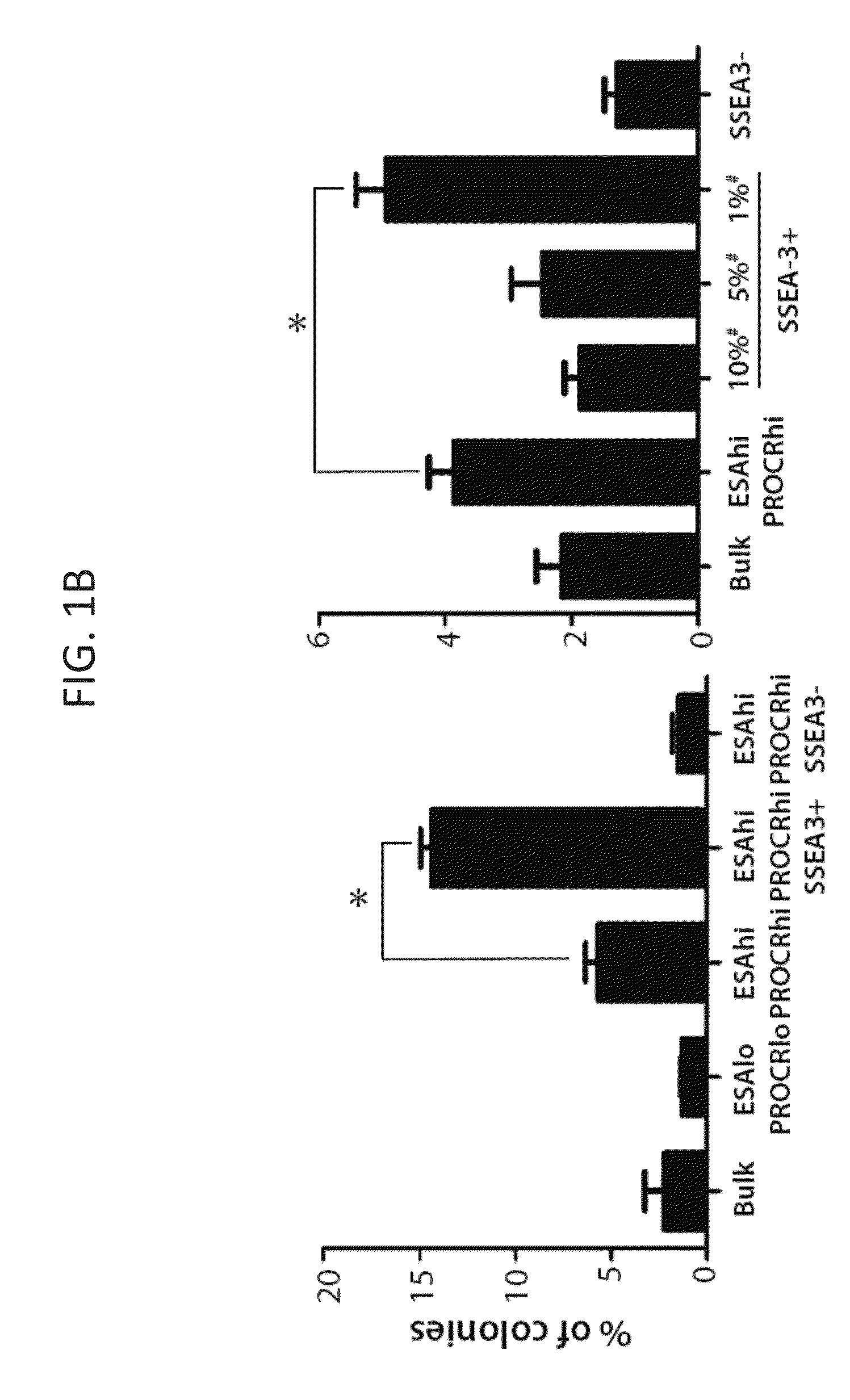 Cancer markers and methods of use thereof
