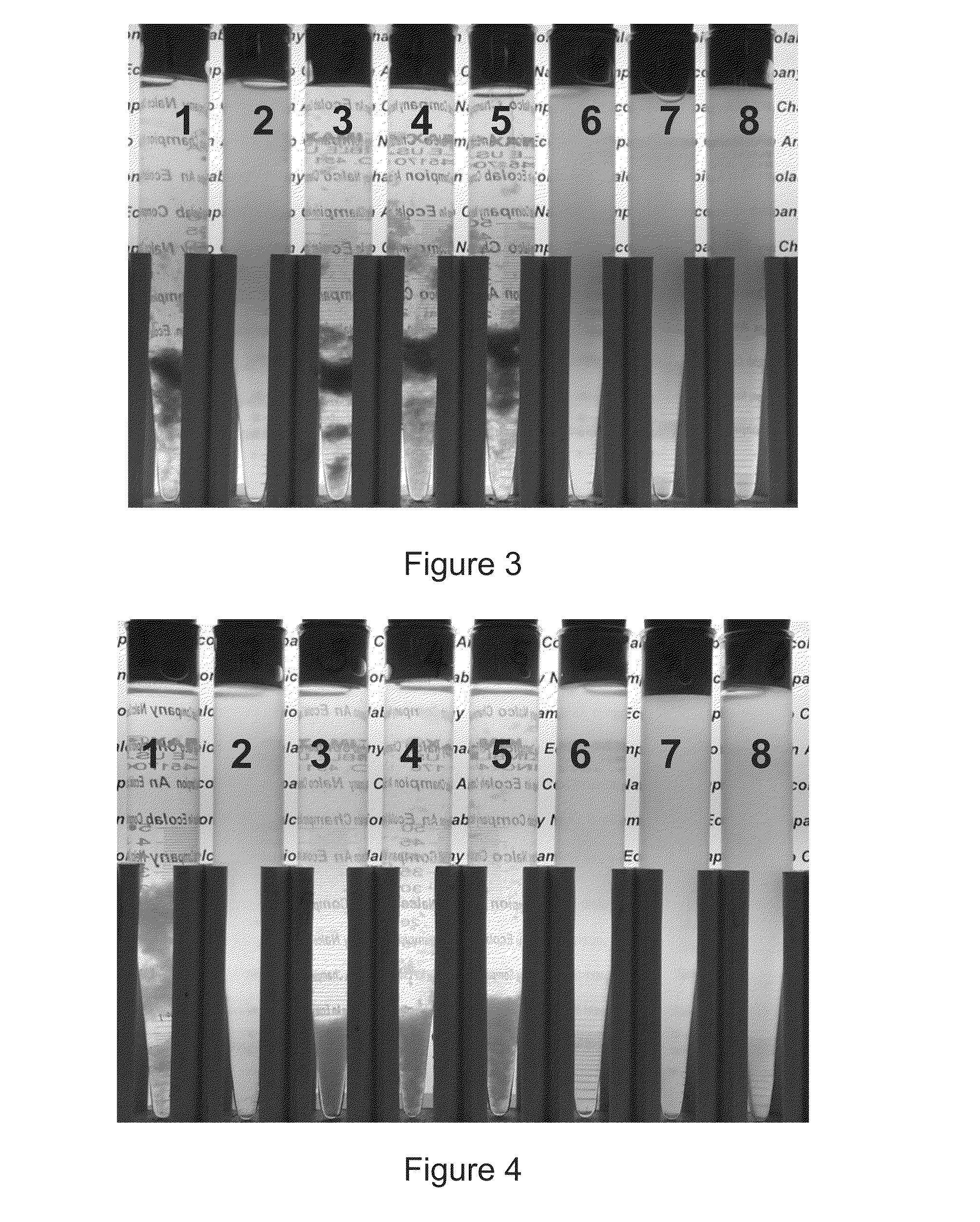 Composition and method for dispersing paraffins in crude oils