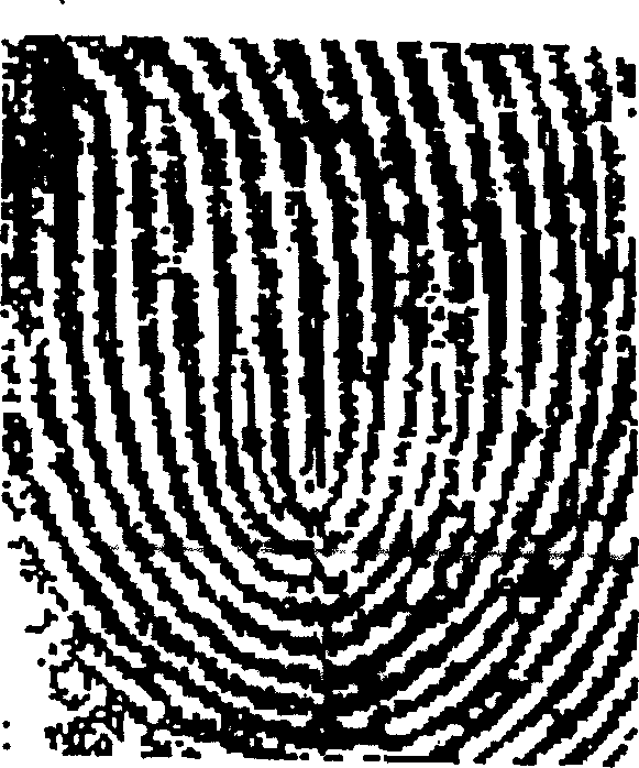 Capacitance type fingerprint access chip