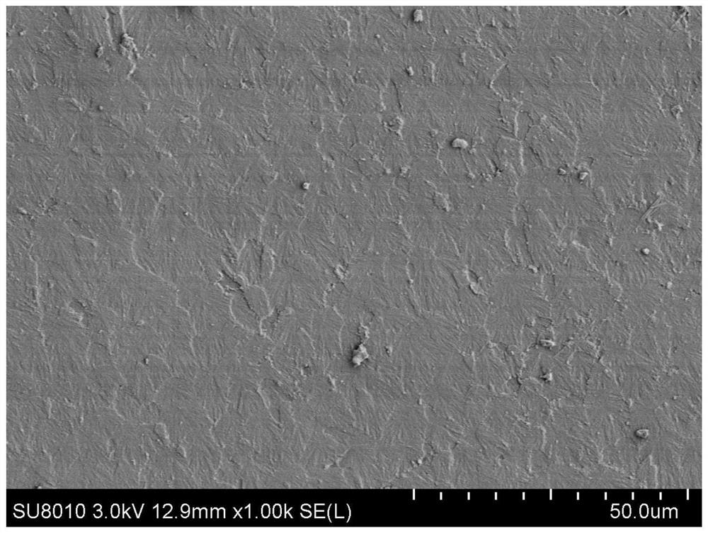 A kind of long-acting anticorrosion graphene modified solvent-free epoxy coating and preparation method thereof