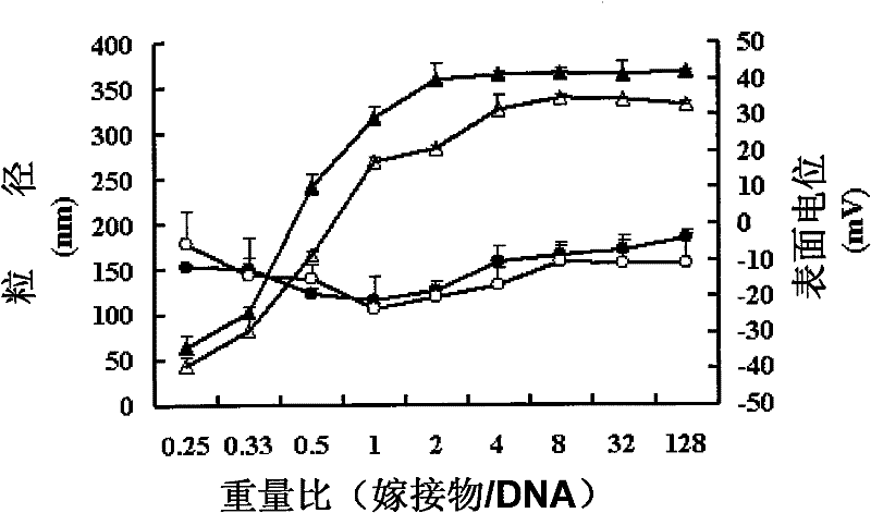 Polyethyleneimine-chitosan-octadecanoic acid grafting, preparation and application