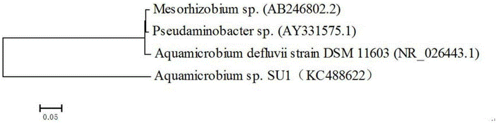 Composite microbial active filler for removing sulfur-containing malodorous substances and its preparation and application