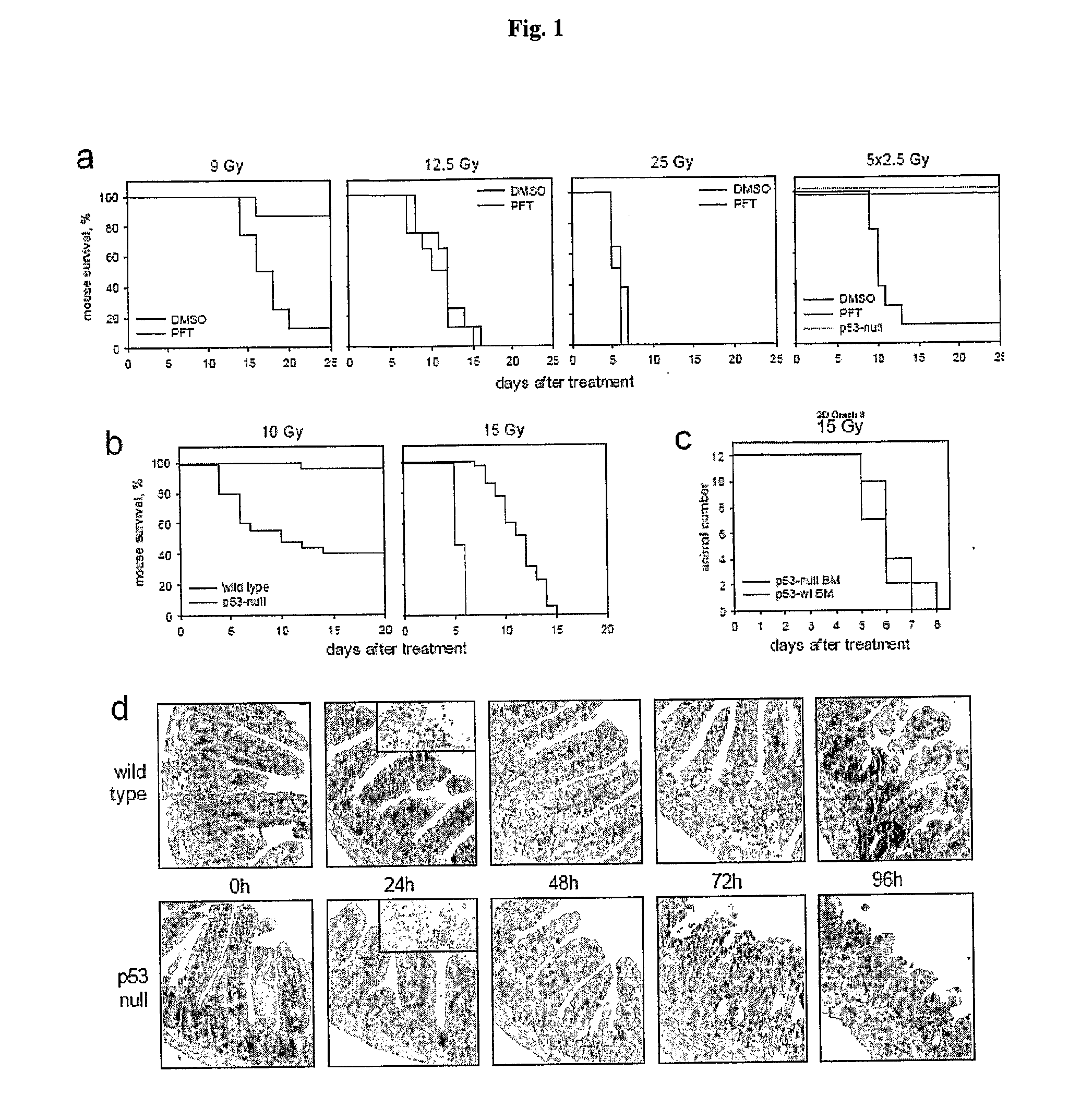 Flagellin Related Polypeptides and Uses Thereof