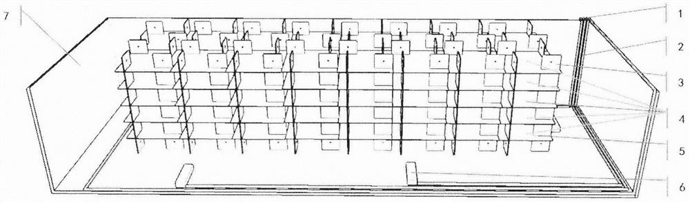 High-density abundant-capacity cultivation method for large-size odontobutis obscura fry