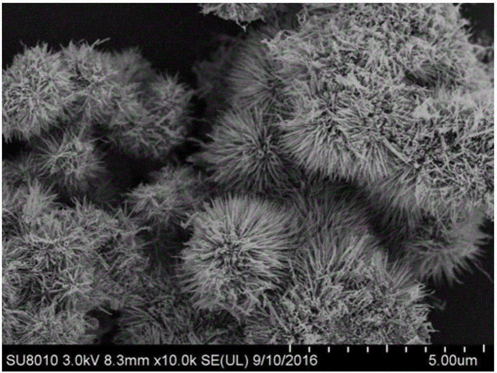 Sea urchin-shaped niobium pentoxide electrode material and preparation method thereof