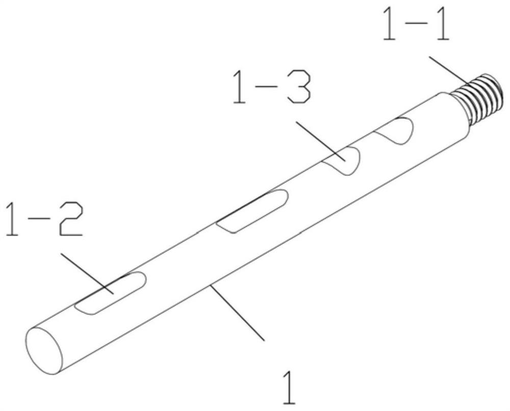 A cross-screw system supporting fixation on the cortical bone of the femoral neck