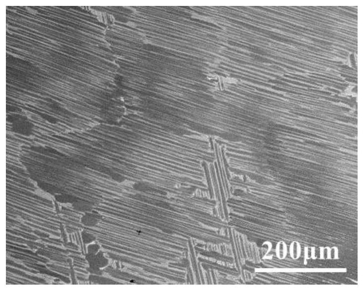 A kind of nearly isothermal forging method of tial alloy