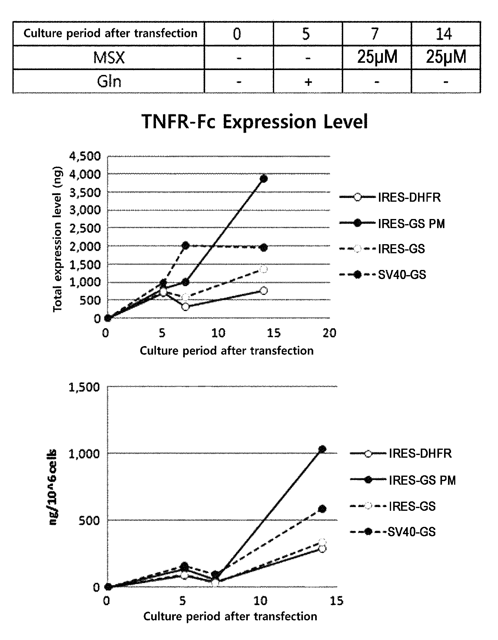 Expression vector comprising a polynucleotide encoding a modified glutamine synthetase and a method for preparing a target protein employing the same